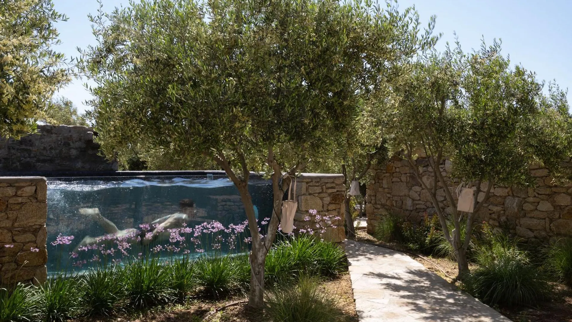 Ikies Of Mykonos Bed & Breakfast Mykonos Town